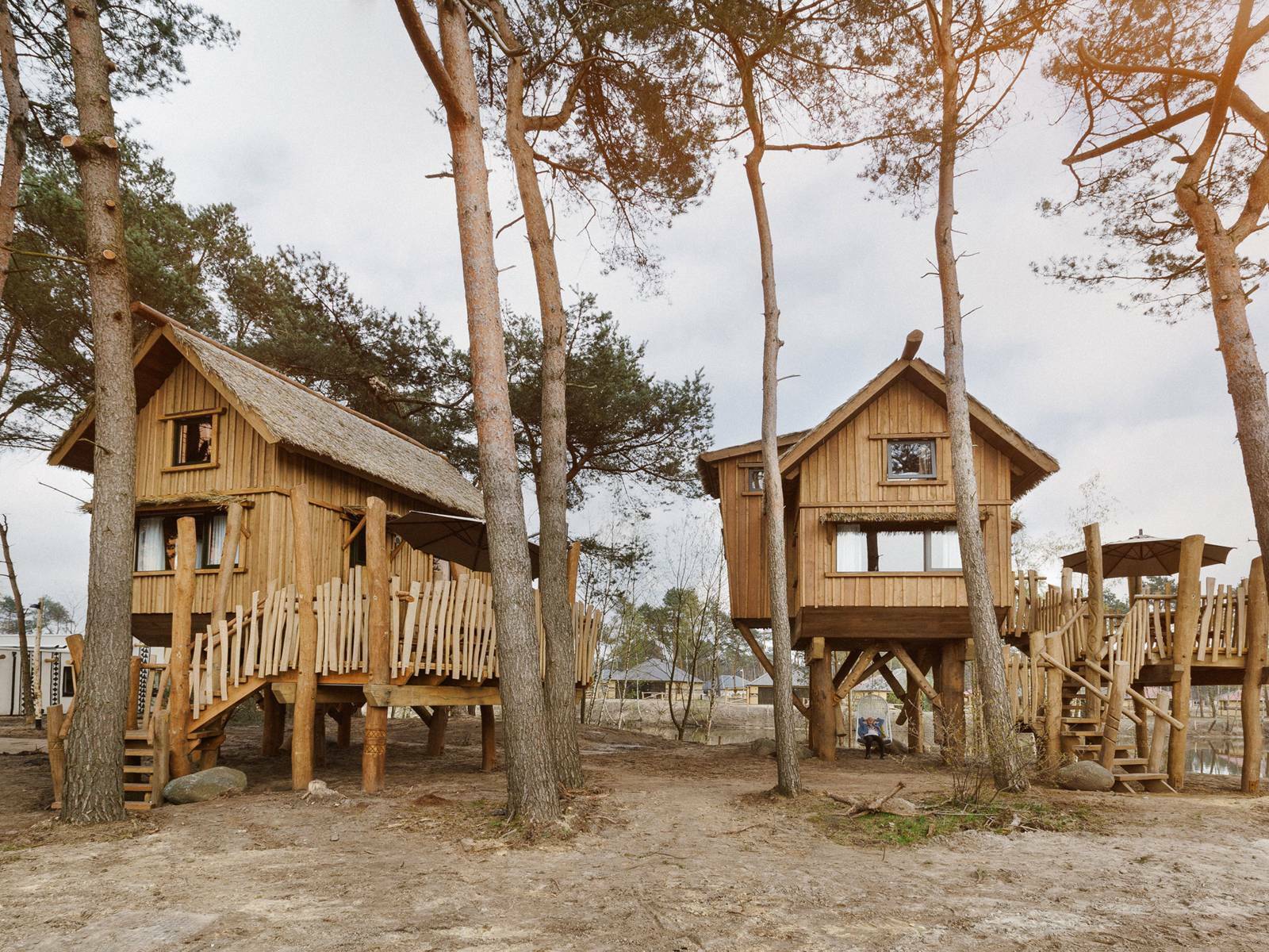 Image of Beekse Bergen