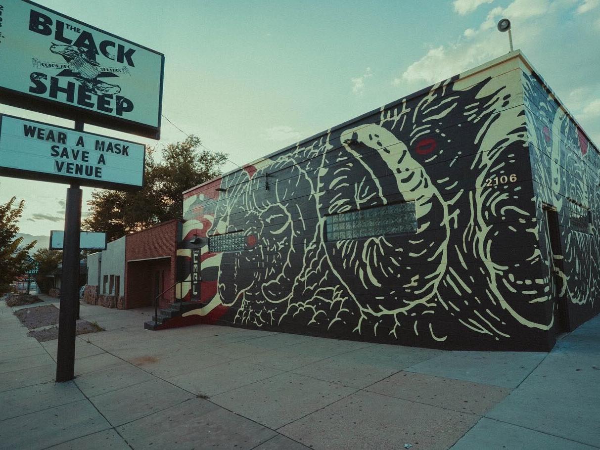 Imagen de Black Sheep