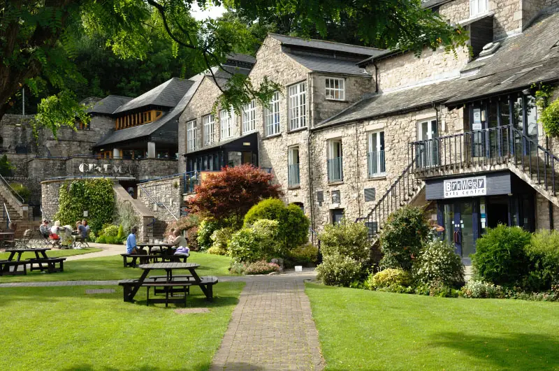 Fotografía promocional de Concierto de Graceland en Kendal