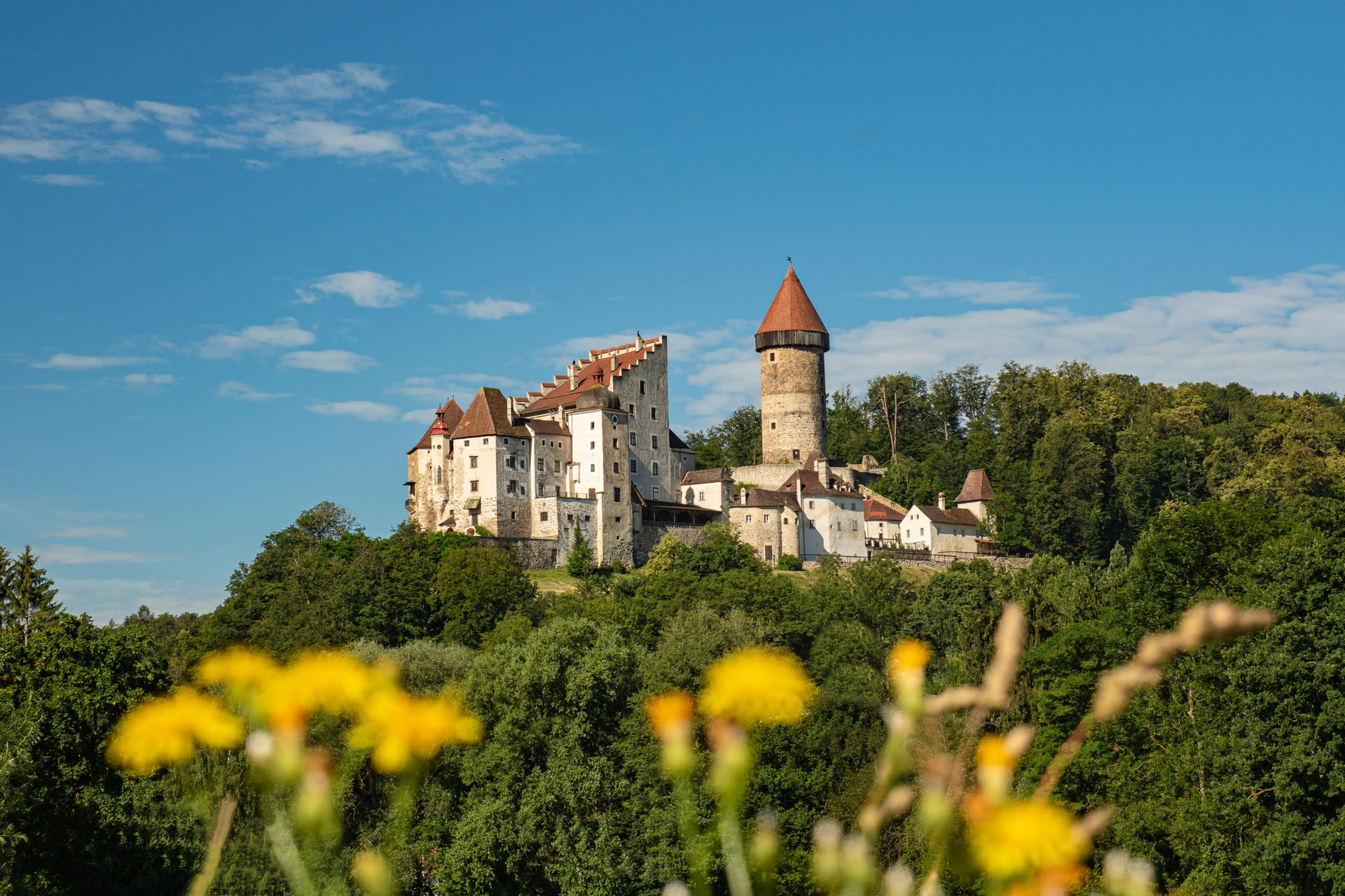 Bild von Burg Clam