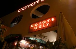 Imagen de Coyote Ugly