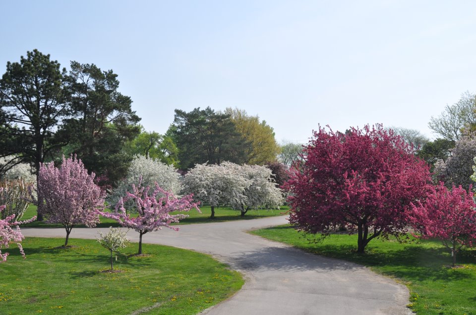Image of Des Moines Water Works Park