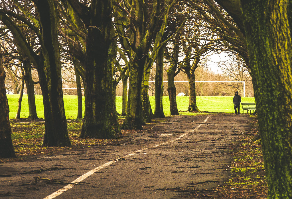 Image of Fairview Park