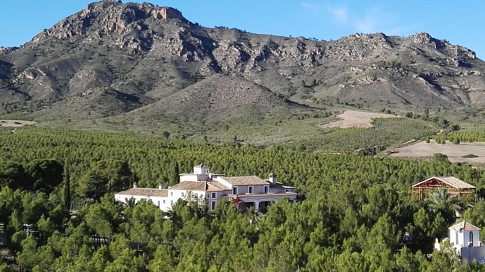 Imagen de Finca Las Ramblas de Talamansi