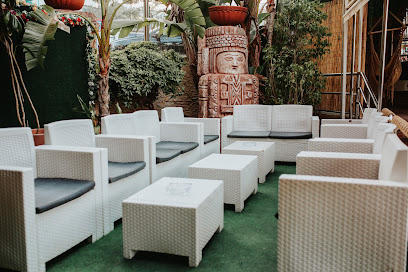 Image of Forever La Terraza