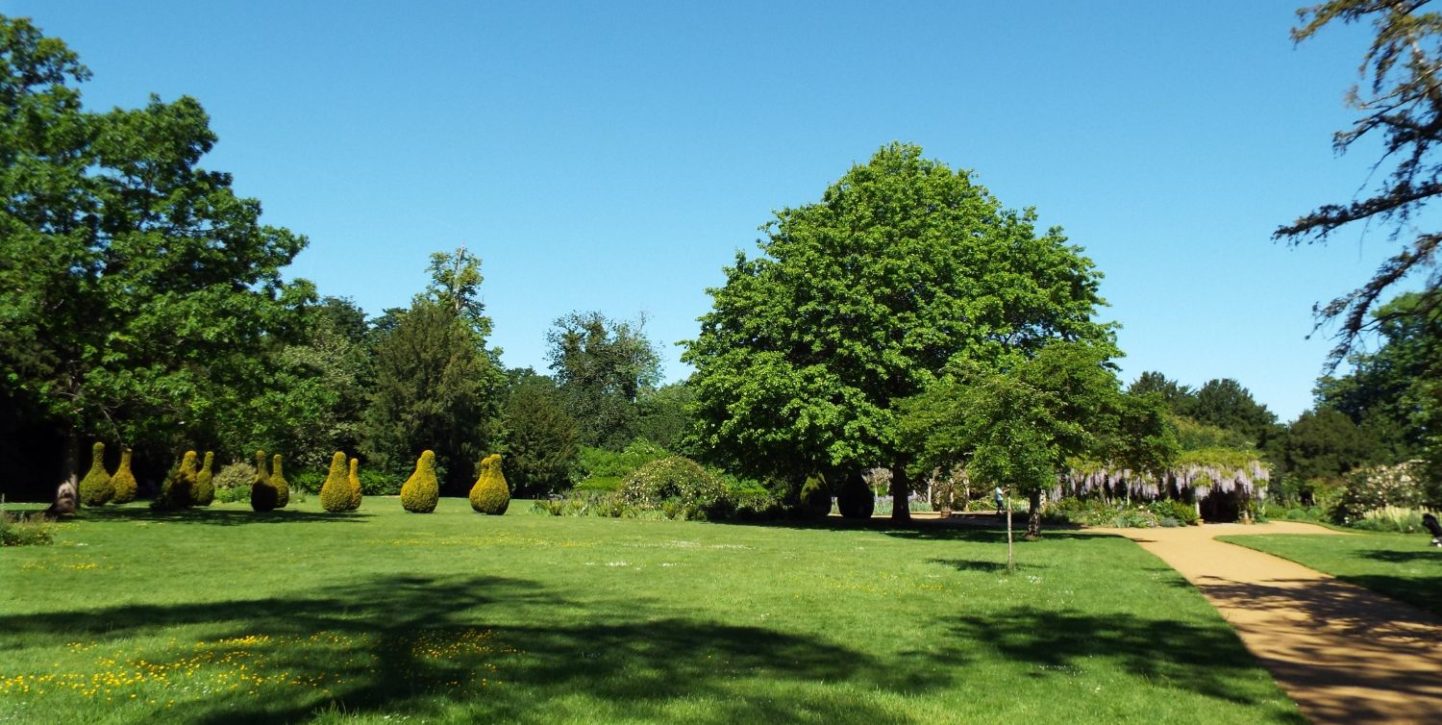 Imagen de Hylands Park Chelmsford