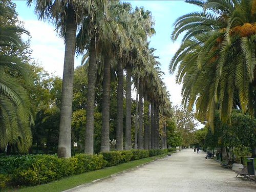 Imagen de Jardines de Viveros - Valencia