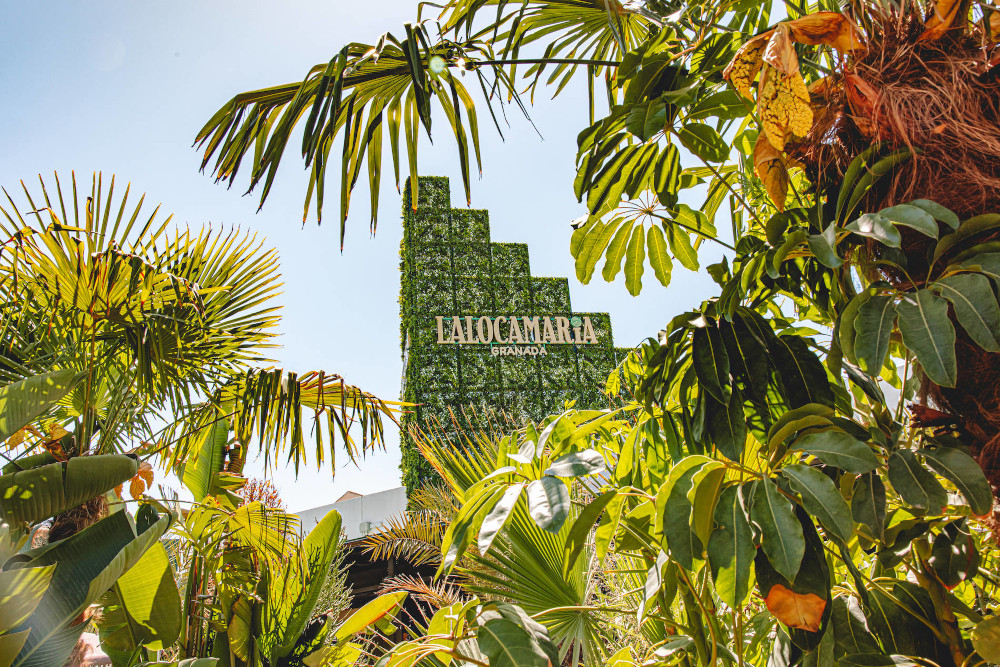 Promotional photograph of FIESTA DÍA DE LA MADRE LATINA.