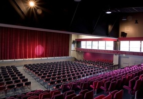 Imagen de L'Arlequin