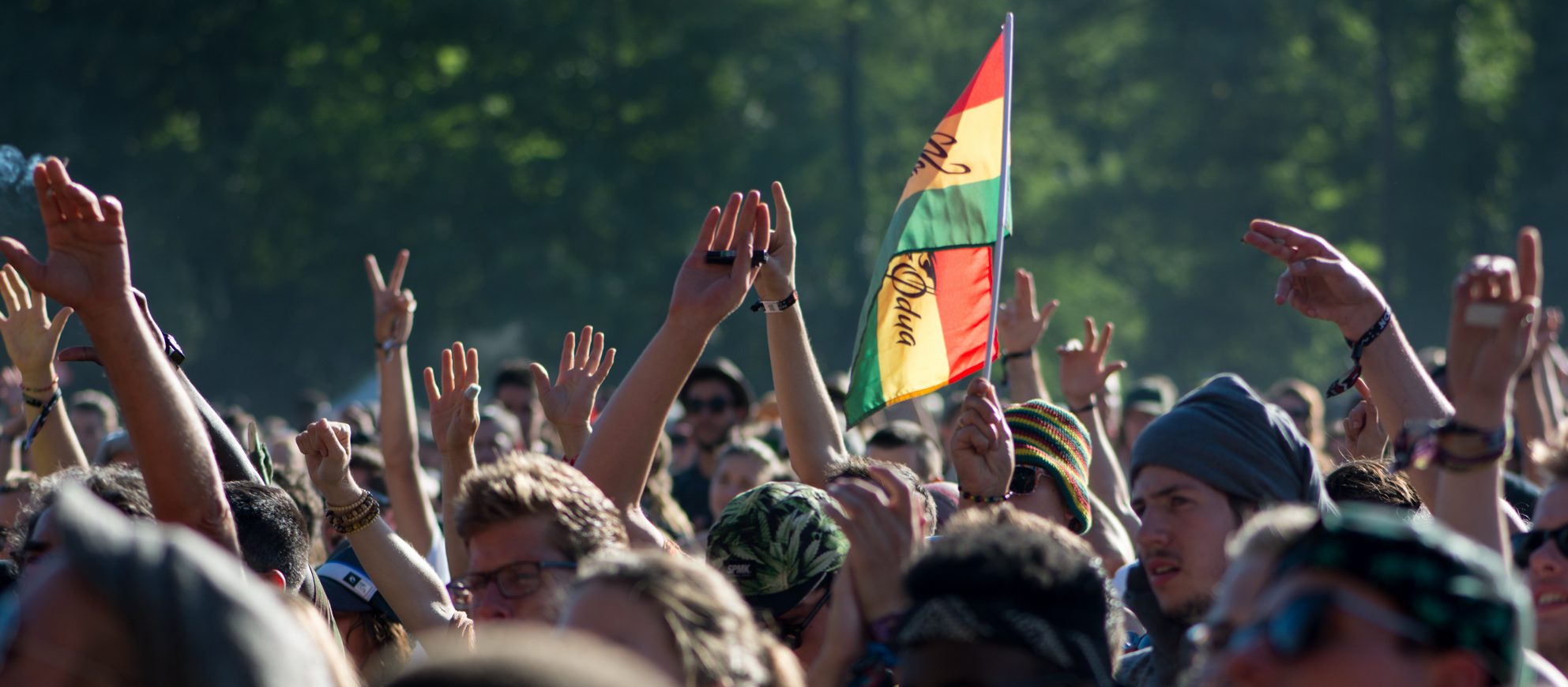 Fotografía promocional de No Logo Festival 2025