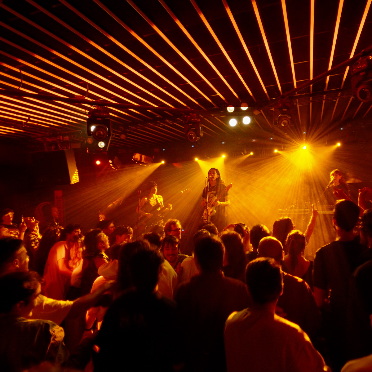 Imagen de Malandar Music Club