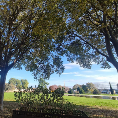 Imagen de Parc Auxiàs March