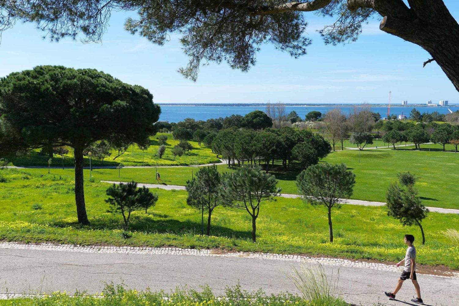 Imagen de Parque da Bela Vista