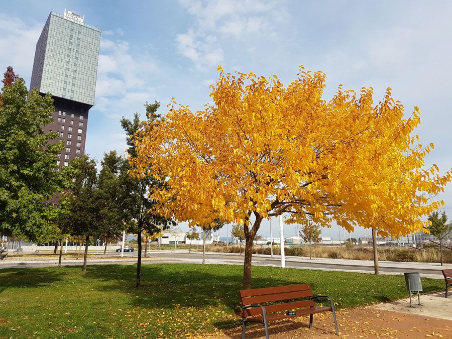 Imagen de Parque del Oeste de Ponferrada