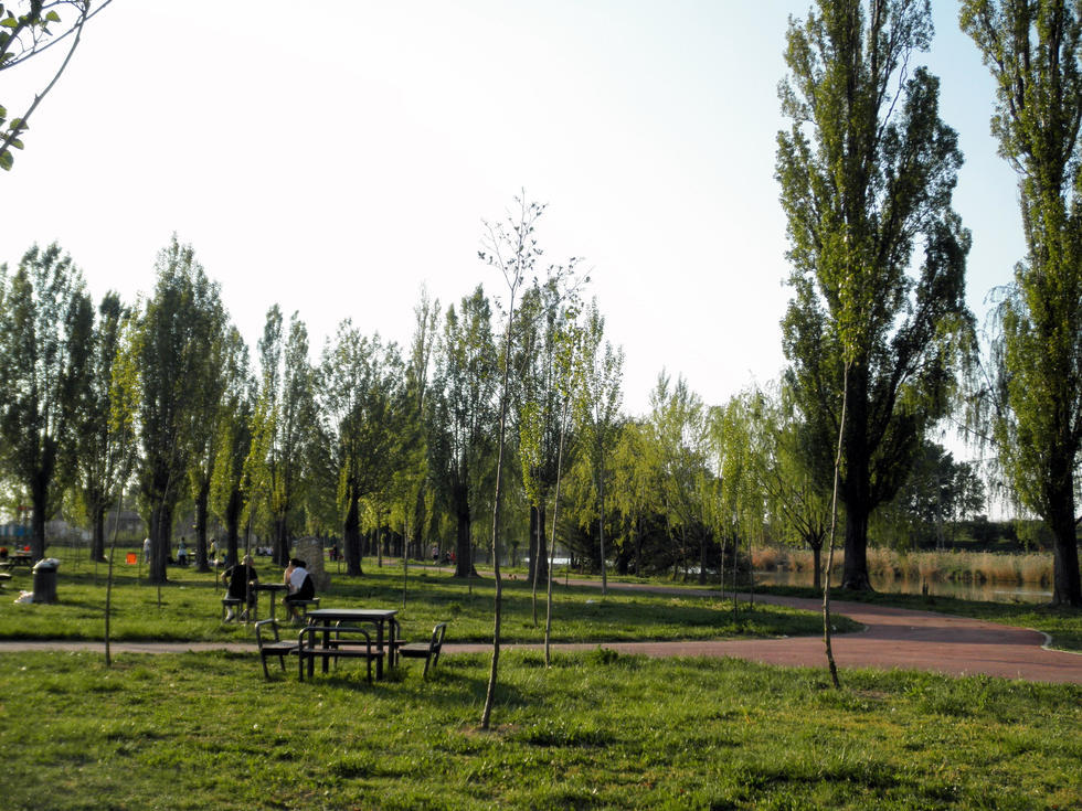 Imagen de Parque del Sotillo