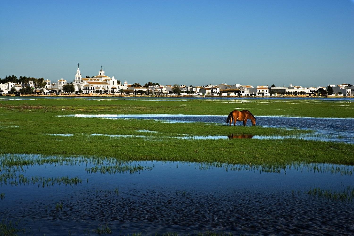Imagen de Parque Nacional de Doñana
