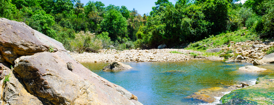 Imagen de Parque Natural Los Alcornocales