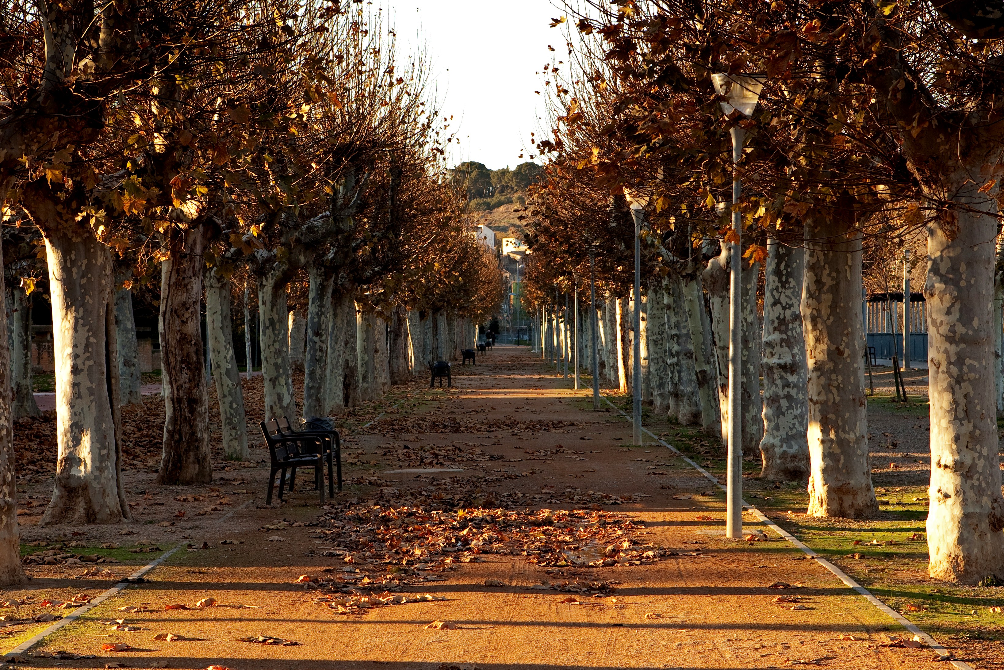 Imagen de Paseo del Prado de Tudela