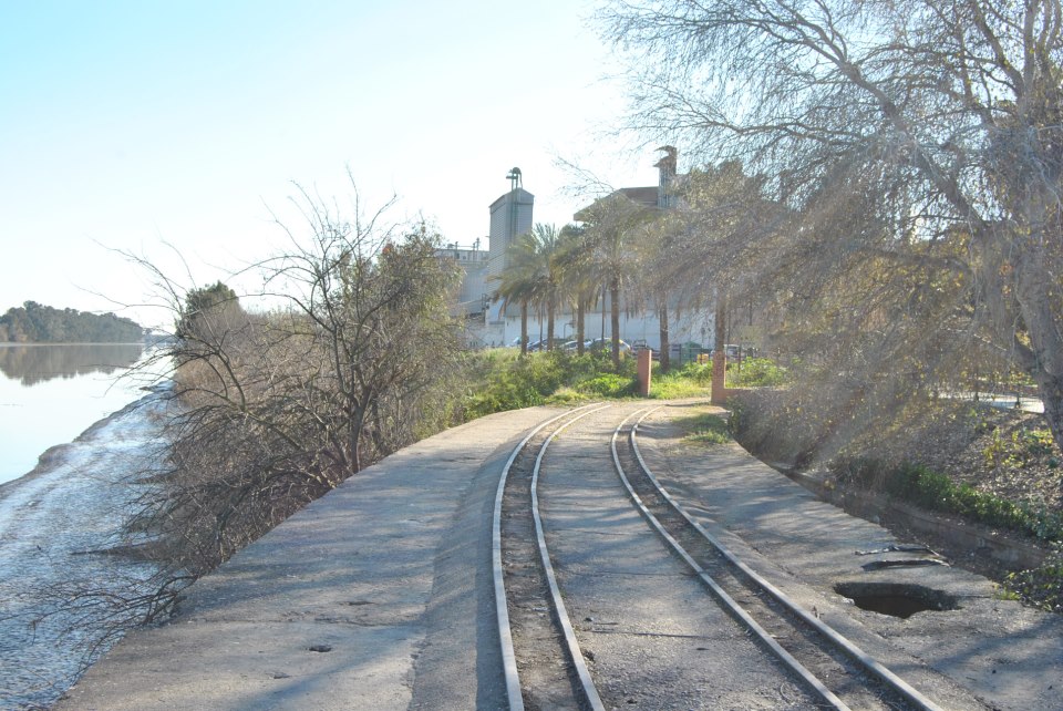 Imagen de Paseo Fluvial de San Juan de Aznalfarache