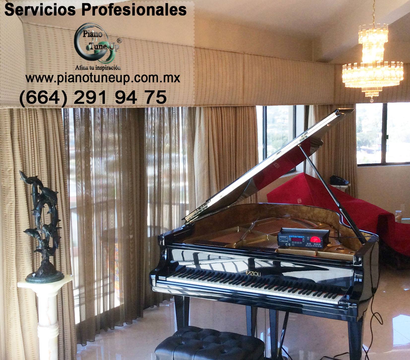 Imagen de Piano TuneUp