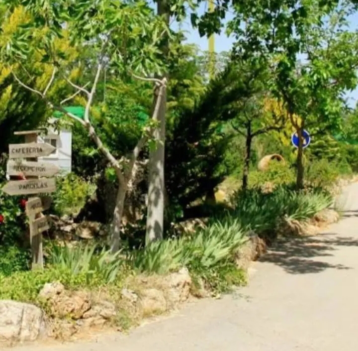 Imagen de Recinto Camping Pantapino