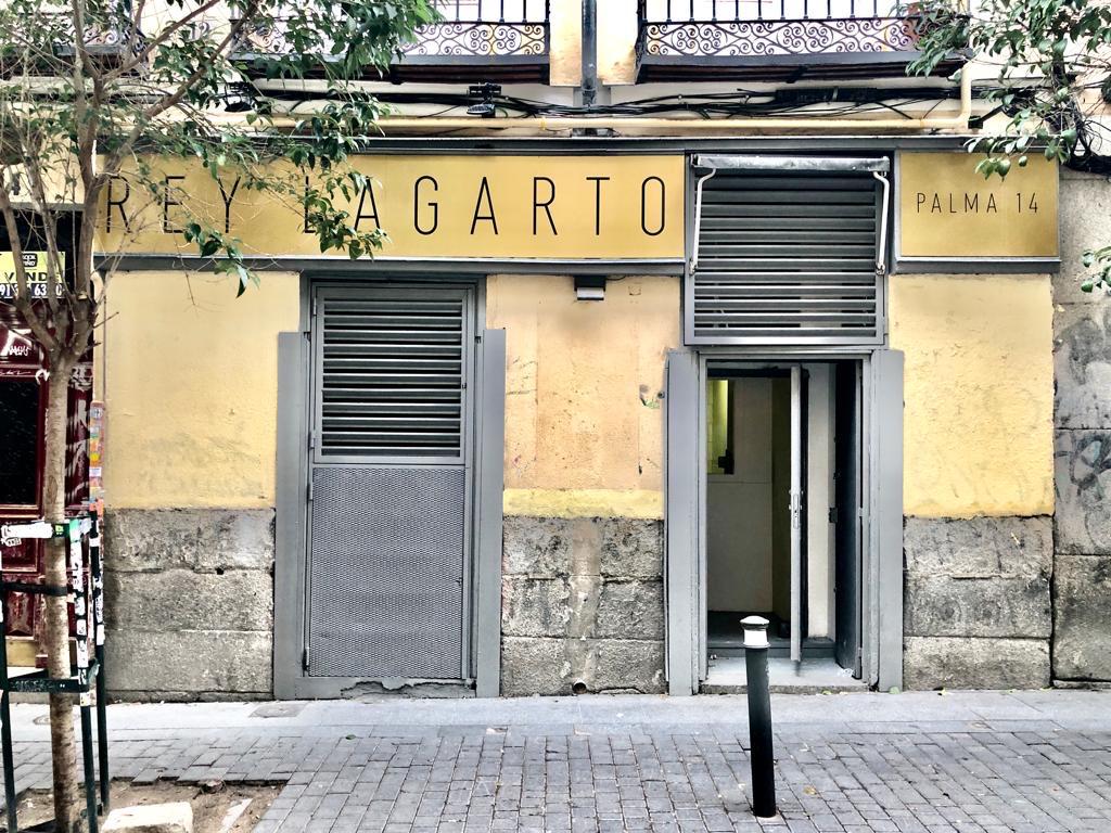 Imagen de Rey Lagarto