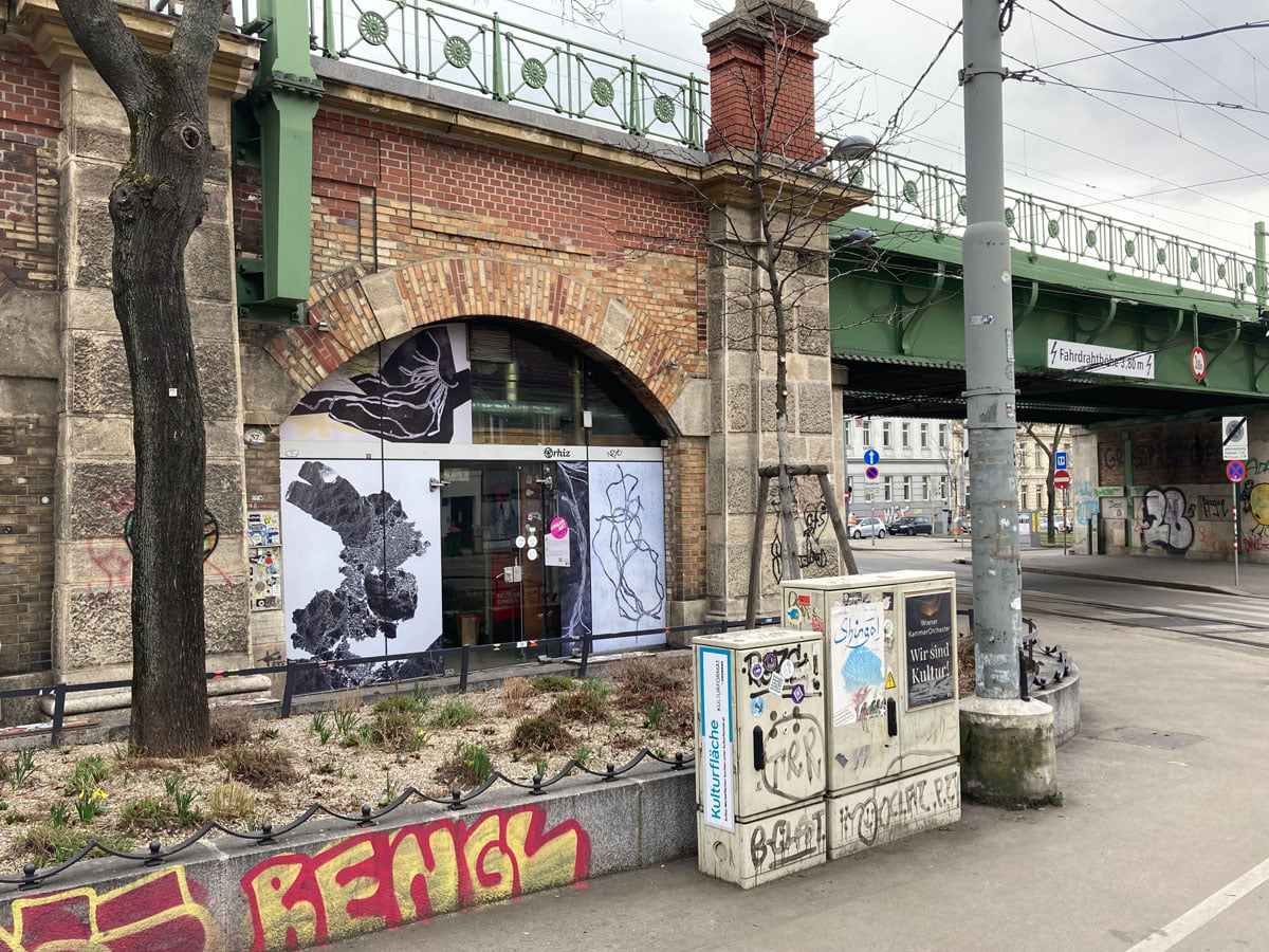 Imagen de Rhiz - Bar Modern (rhiz)