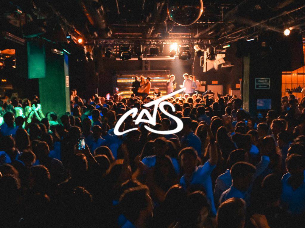 Imagen de Sala Cats
