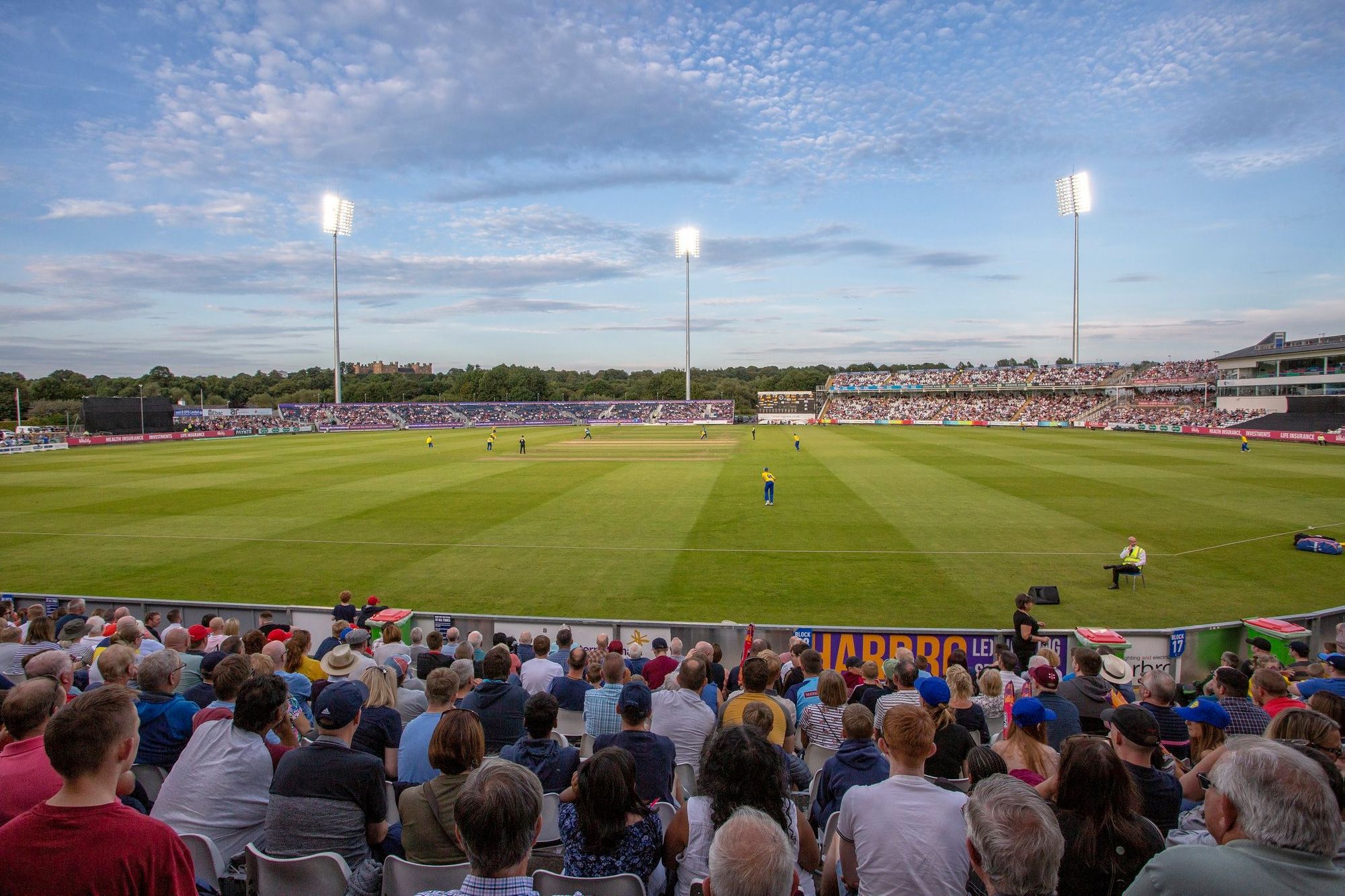 Imagen de Seat Unique Riverside