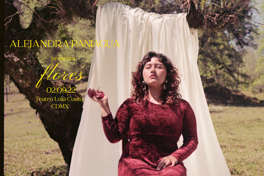 Imagen de Teatro Lola Cueto