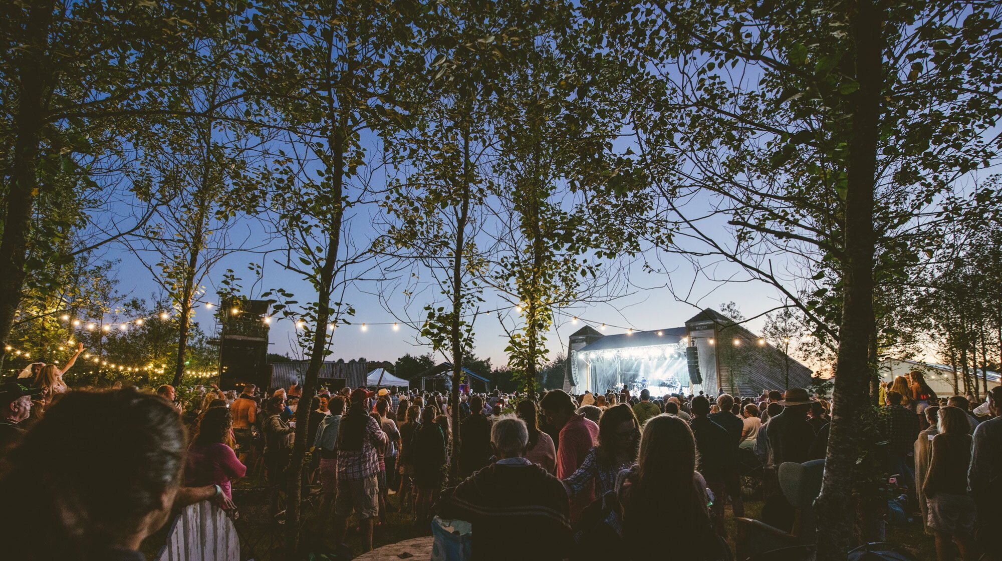 Imagen de The Wyldes