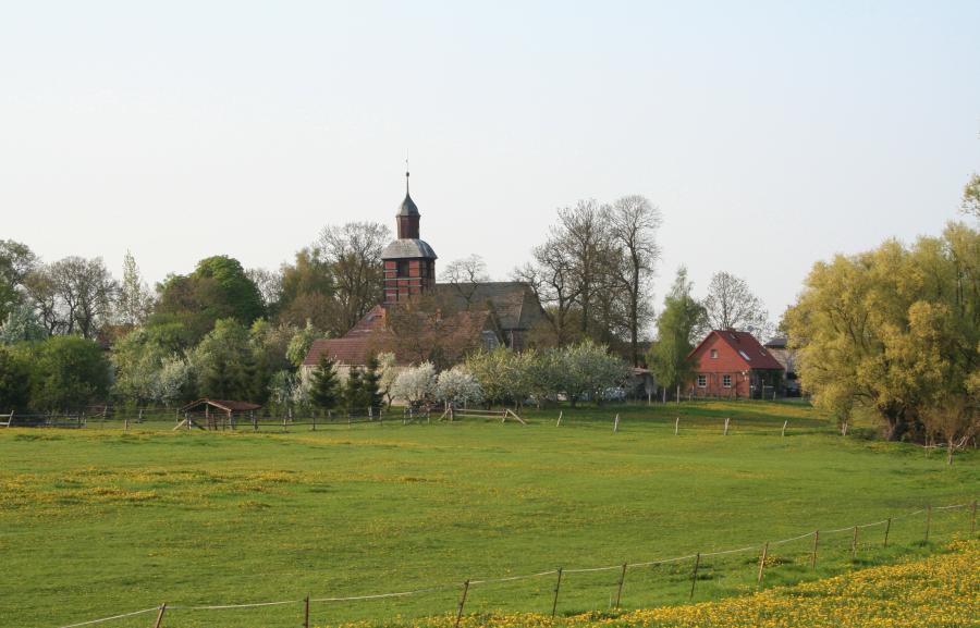 Bild von Trampe Brüssow