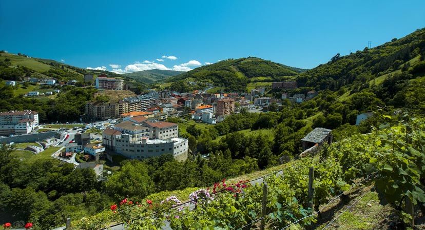 Imagen de Varios recintos