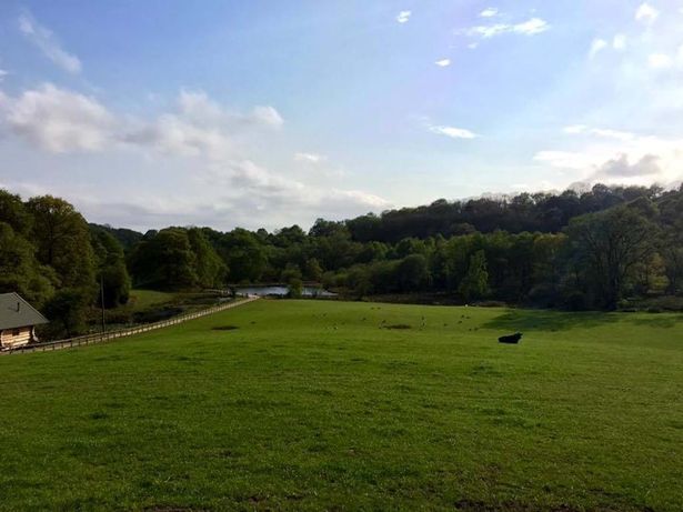 Imagen de Whitebottom Farm