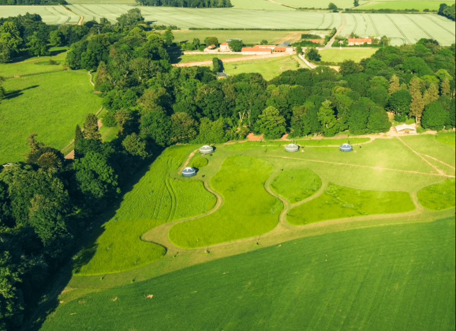 Imagen de Wide Skies & Butterflies Festival