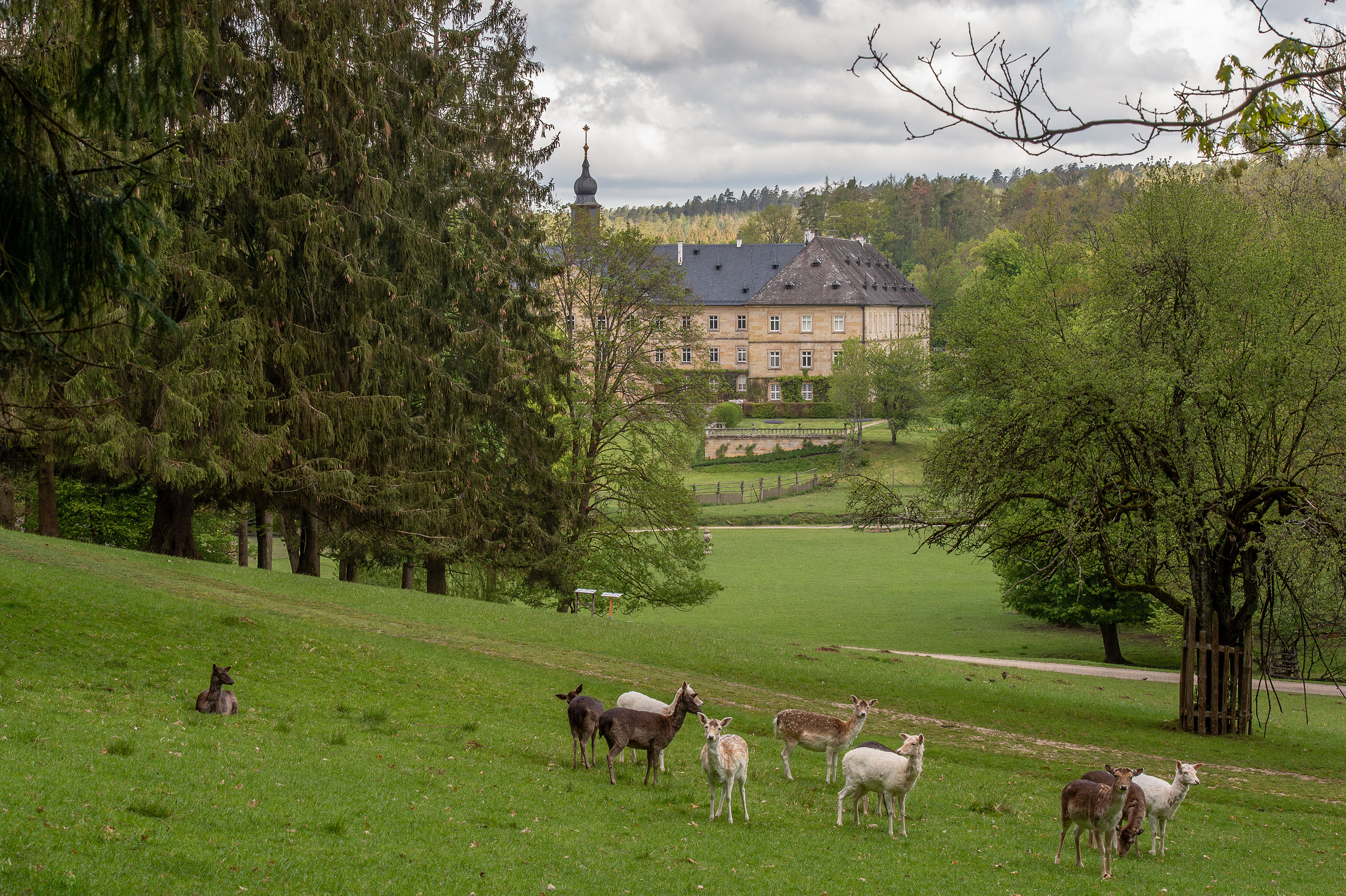 Bild von WildPark Schloß Tambach